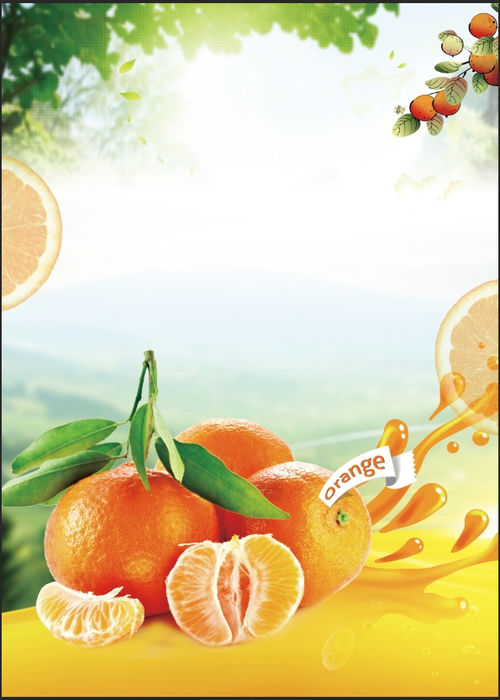 Poster Hoa Quả Đẹp (16) - Kho tài nguyên đồ họa