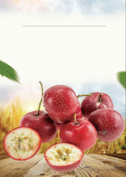 Poster Hoa Quả Đẹp (26) - Kho tài nguyên đồ họa