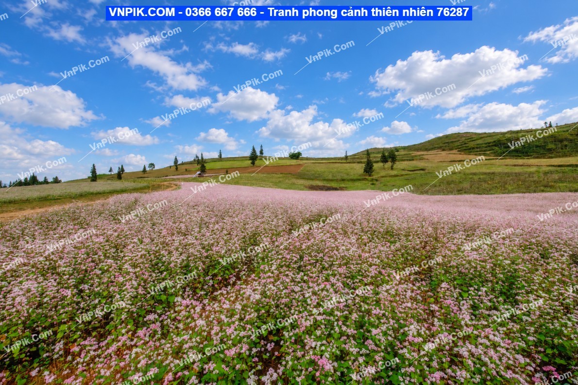 Tranh phong cảnh thiên nhiên 76287